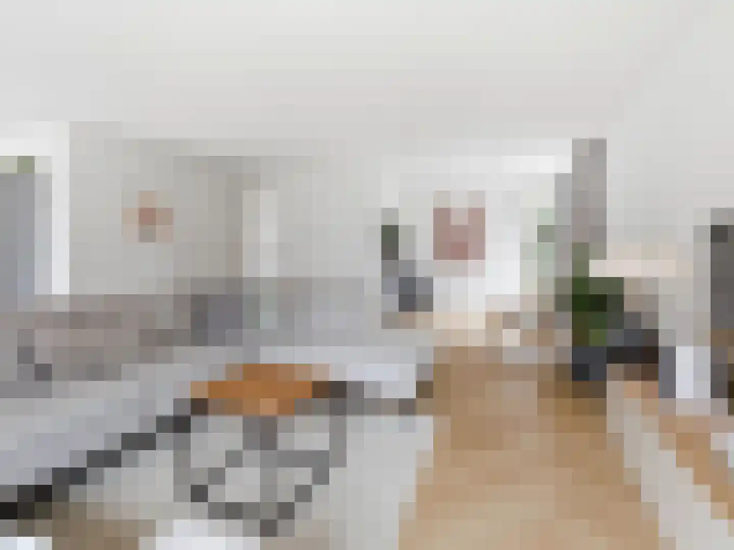Annie M.G. Schmidtstraat 3 Zutphen thumbnail 5
