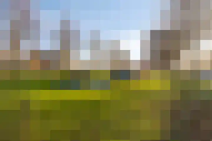 Annie M.G. Schmidtstraat 68 Alkmaar thumbnail 37