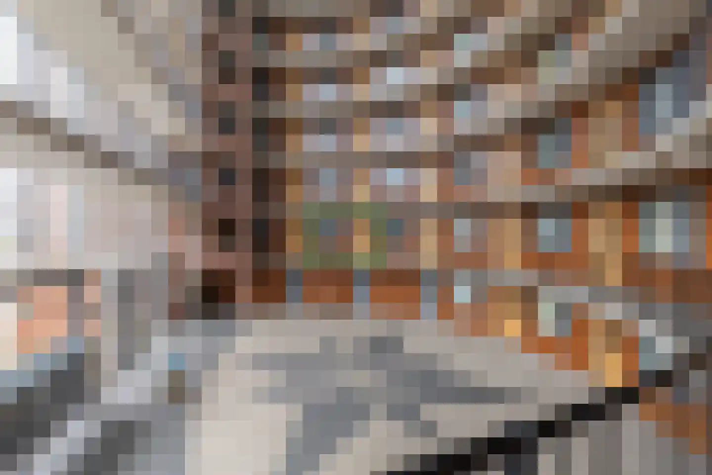 Annie M.G. Schmidtstraat 7 Alkmaar thumbnail 26
