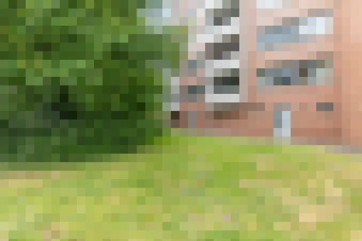 Annie M.G. Schmidtstraat 7 Alkmaar thumbnail 33
