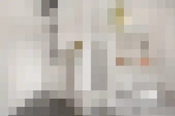 Annie M.G. Schmidtstraat 7 Utrecht thumbnail 19