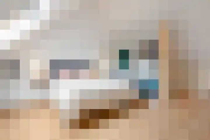 Annie M.G. Schmidtstraat 7 Utrecht thumbnail 21