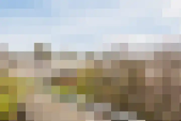 Annie M.G. Schmidtstraat 7 Wageningen thumbnail 35
