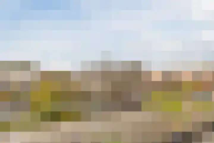 Annie M.G. Schmidtstraat 7 Wageningen thumbnail 36