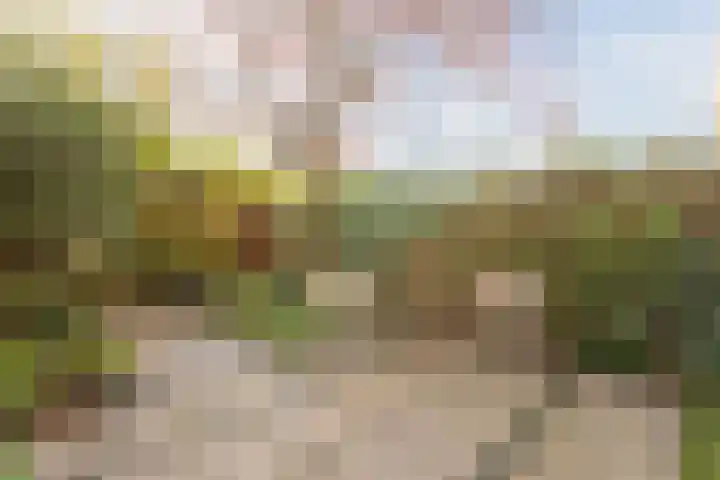 Annie M.G. Schmidtstraat 7 Wageningen thumbnail 38