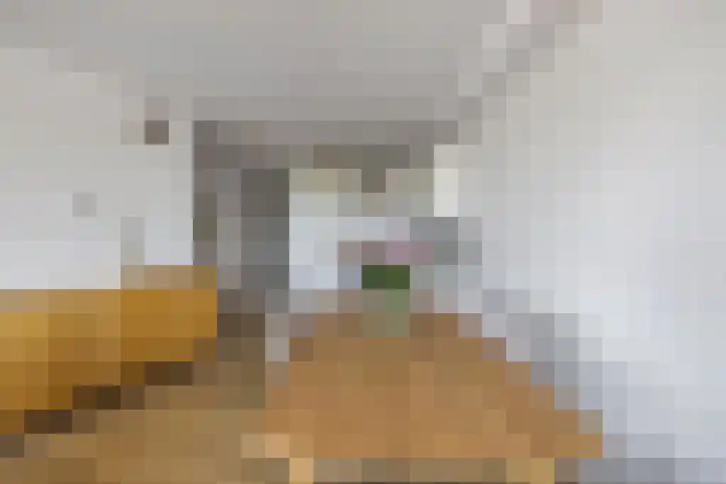 Annie M.G. Schmidtstraat 74 Alkmaar thumbnail 22
