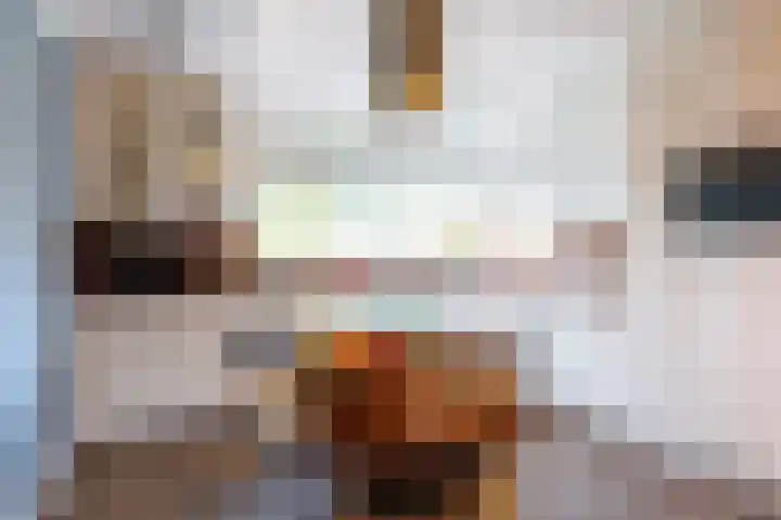 Annie M.G. Schmidtweg 1 Almere thumbnail 13