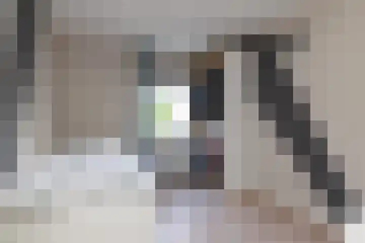Annie M.G. Schmidtweg 1 Almere thumbnail 29