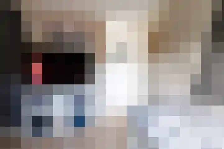 Annie M.G. Schmidtweg 1 Almere thumbnail 30