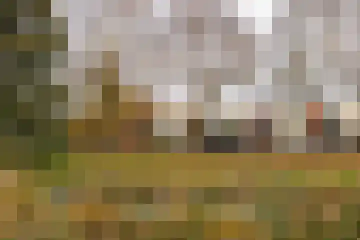 Annie M.G. Schmidtweg 1 Almere thumbnail 31
