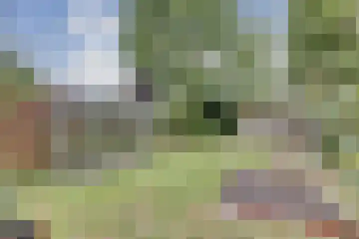 Annie M.G. Schmidtweg 10 Almere thumbnail 32