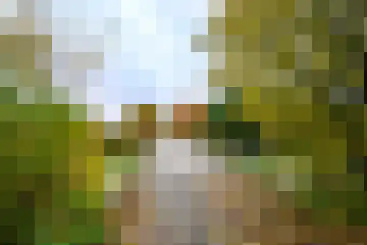 Annie M.G. Schmidtweg 12 Almere thumbnail 27