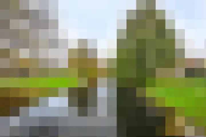 Annie M.G. Schmidtweg 12 Almere thumbnail 28