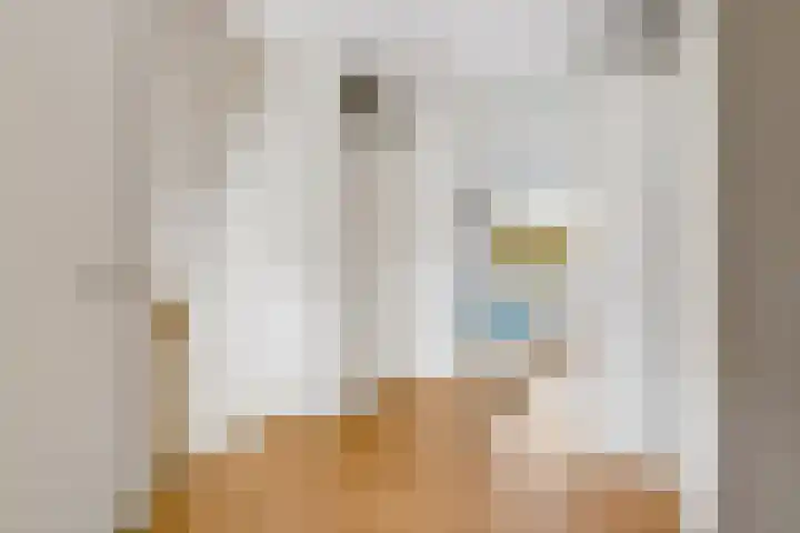 Annie M.G. Schmidtweg 131 Almere thumbnail 30