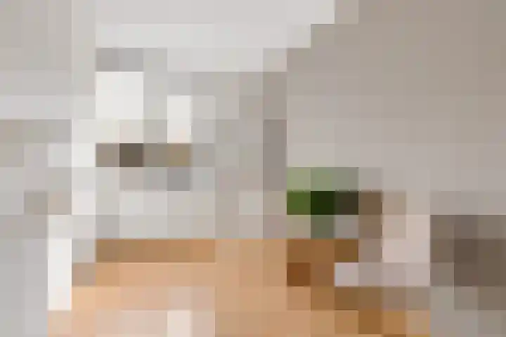 Annie M.G. Schmidtweg 131 Almere thumbnail 36