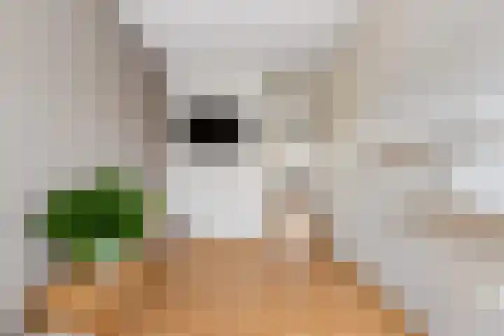 Annie M.G. Schmidtweg 131 Almere thumbnail 37