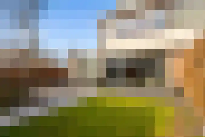 Annie M.G. Schmidtweg 131 Almere thumbnail 56