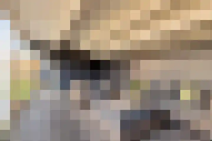 Annie M.G. Schmidtweg 131 Almere thumbnail 67
