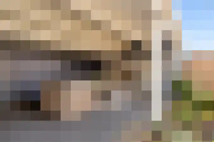 Annie M.G. Schmidtweg 131 Almere thumbnail 68
