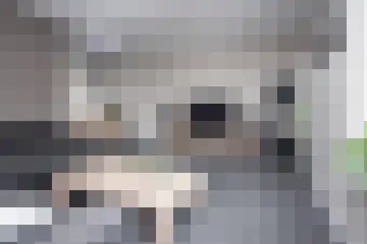 Annie M.G. Schmidtweg 21 Grootebroek thumbnail 10
