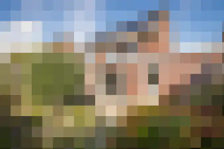 Annie M.G. Schmidtweg 21 Grootebroek thumbnail 4