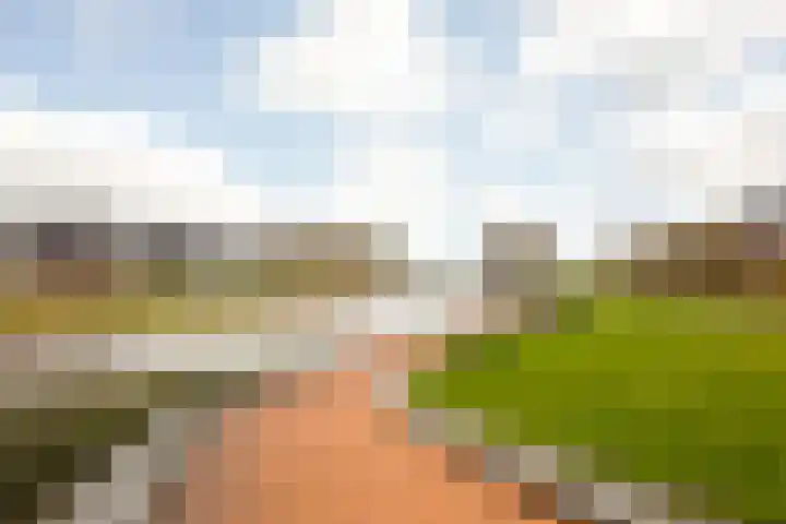 Annie M.G. Schmidtweg 21 Grootebroek thumbnail 41
