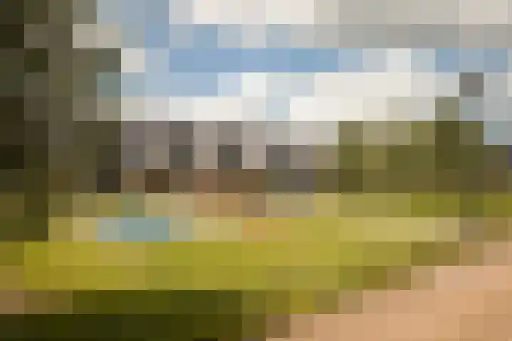 Annie M.G. Schmidtweg 21 Grootebroek thumbnail 42