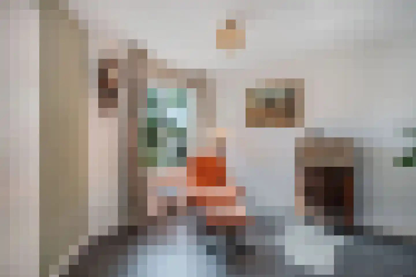 Annie M.G. Schmidtweg 22 Almere thumbnail 12