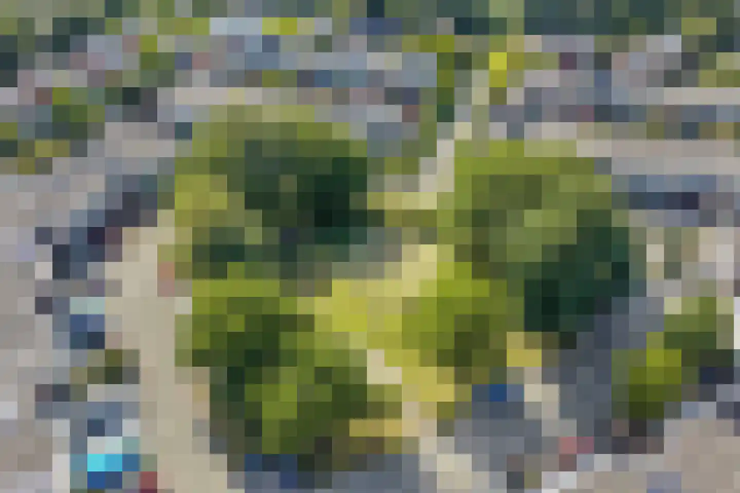 Annie M.G. Schmidtweg 22 Almere thumbnail 37