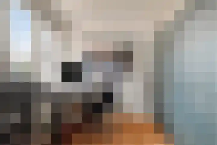 Annie M.G. Schmidtweg 32 Almere thumbnail 13