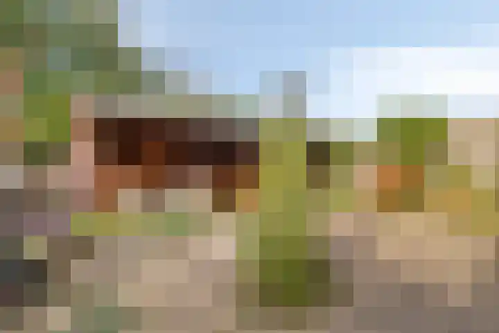 Annie M.G. Schmidtweg 32 Almere thumbnail 17