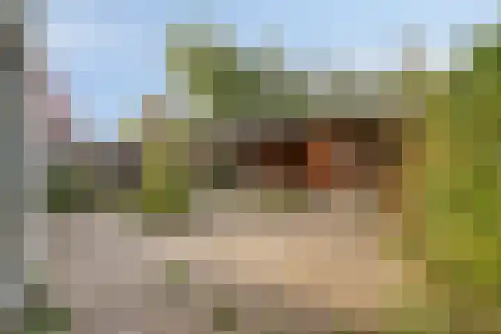 Annie M.G. Schmidtweg 32 Almere thumbnail 18