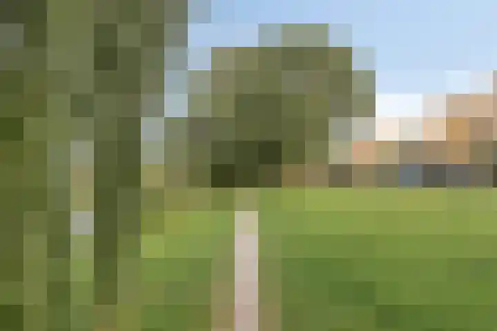 Annie M.G. Schmidtweg 32 Almere thumbnail 23