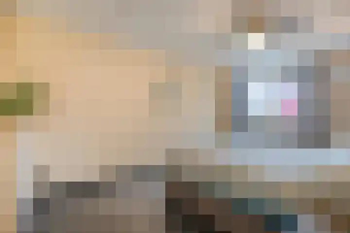 Annie M.G. Schmidtweg 49 Almere thumbnail 34