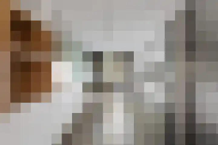 Annie M.G. Schmidtweg 59 Almere thumbnail 16