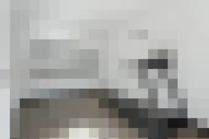 Annie M.G. Schmidtweg 59 Almere thumbnail 21