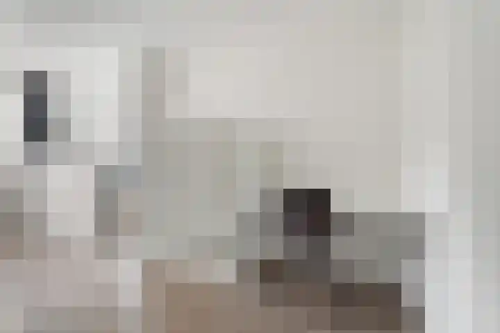 Annie M.G. Schmidtweg 59 Almere thumbnail 35