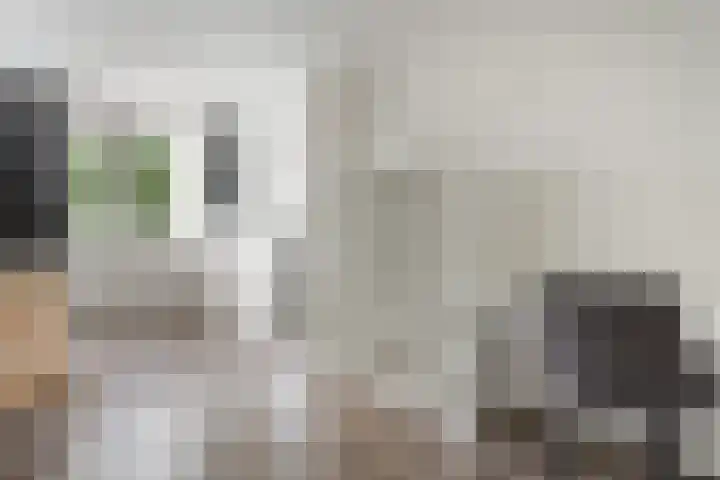 Annie M.G. Schmidtweg 59 Almere thumbnail 36