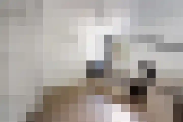 Annie M.G. Schmidtweg 59 Almere thumbnail 38