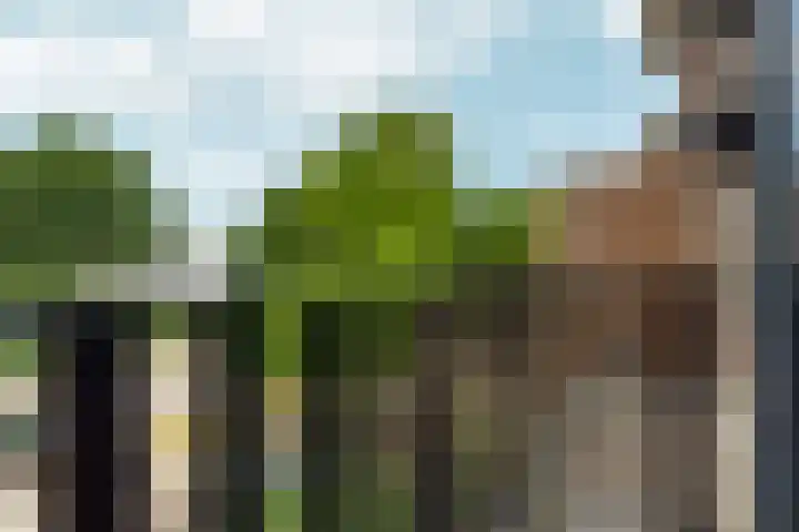 Annie M.G. Schmidtweg 59 Almere thumbnail 52