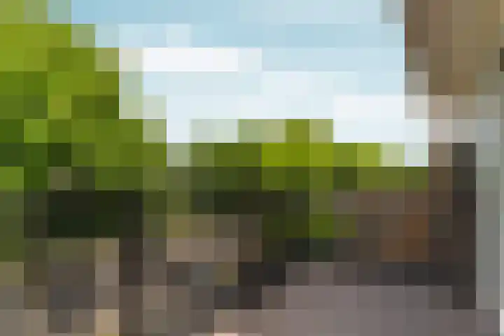 Annie M.G. Schmidtweg 59 Almere thumbnail 53