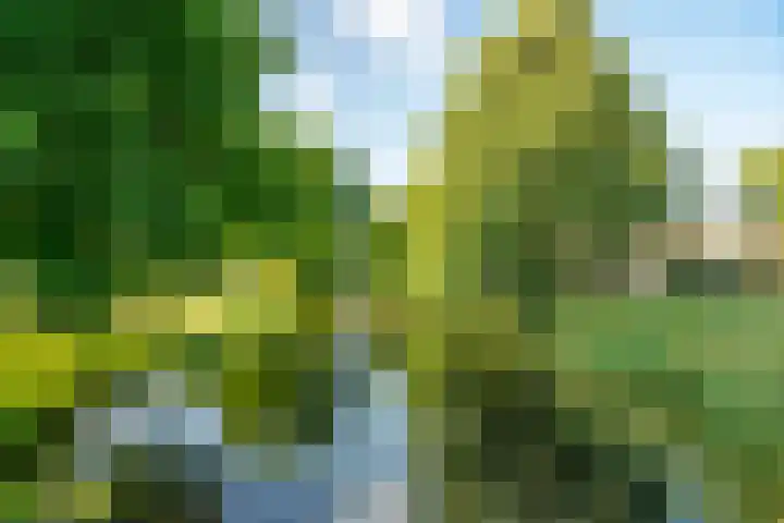 Annie M.G. Schmidtweg 59 Almere thumbnail 58