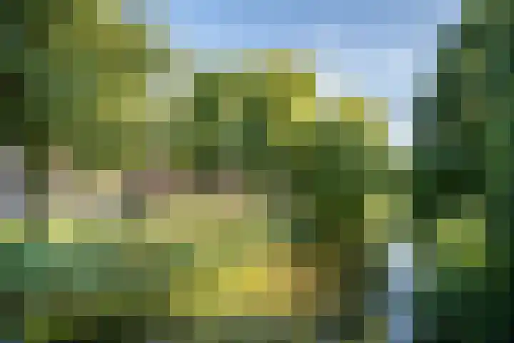 Annie M.G. Schmidtweg 59 Almere thumbnail 6