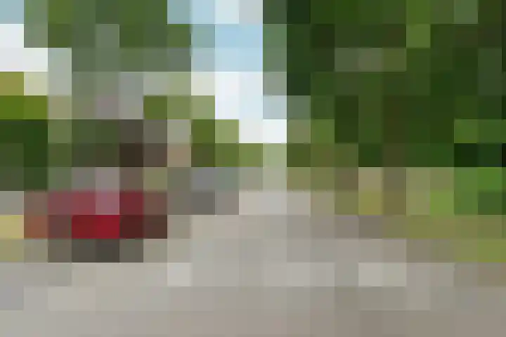 Annie M.G. Schmidtweg 59 Almere thumbnail 60