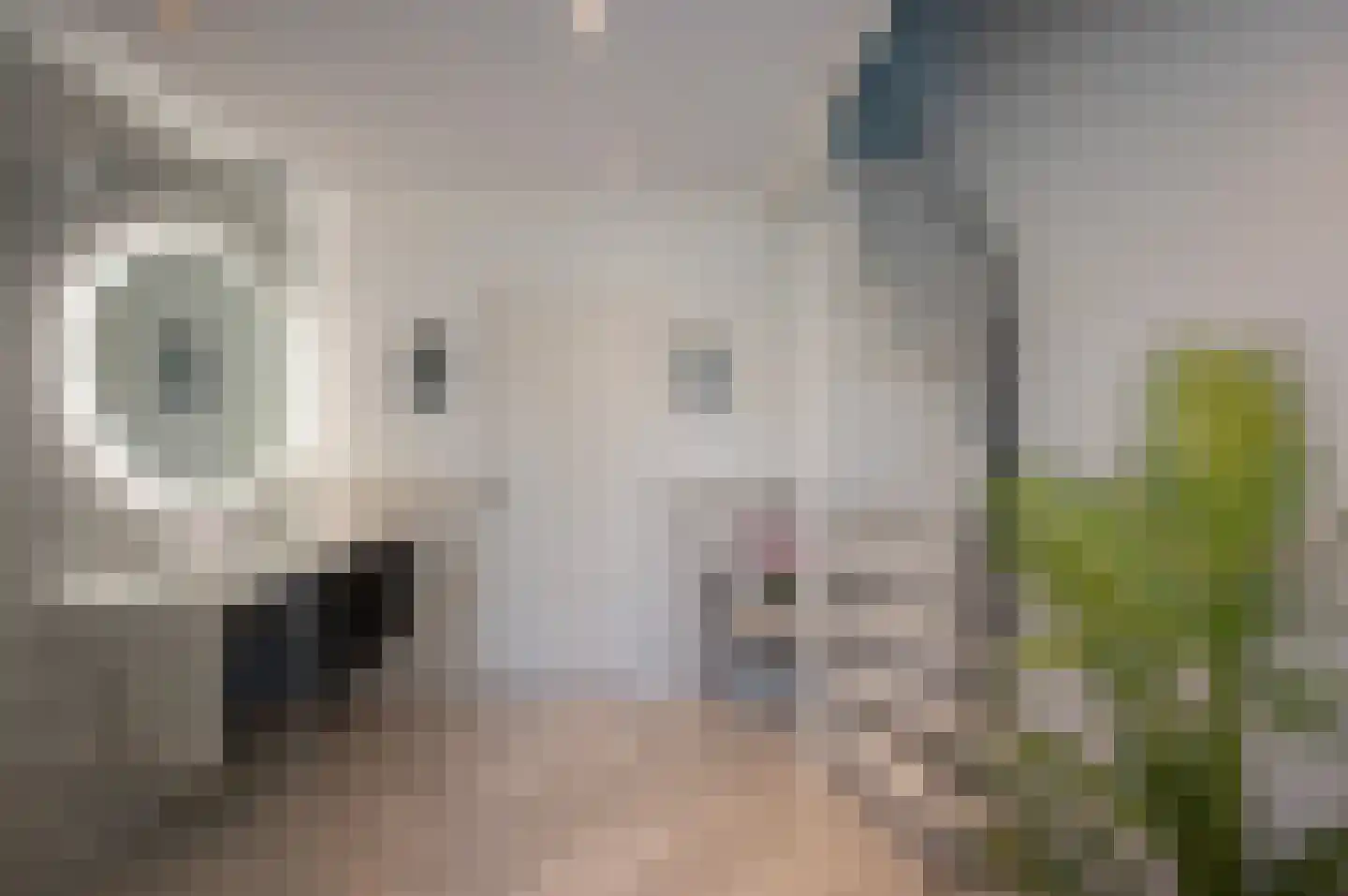 Annie M.G. Schmidtweg 68 Almere thumbnail 12