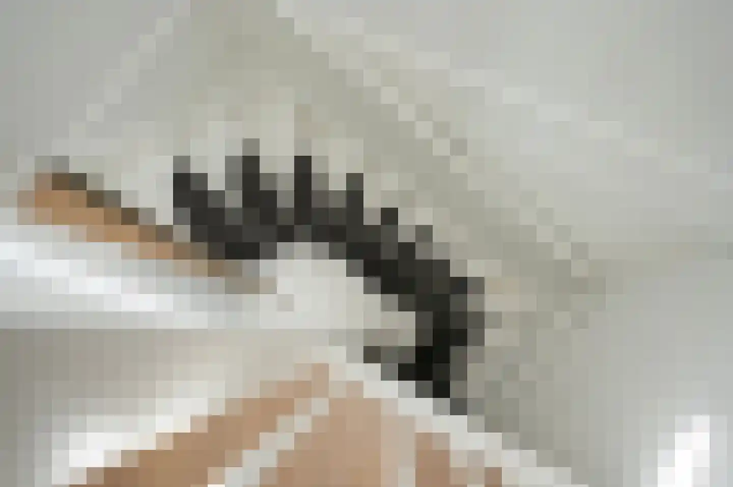 Annie M.G. Schmidtweg 68 Almere thumbnail 34