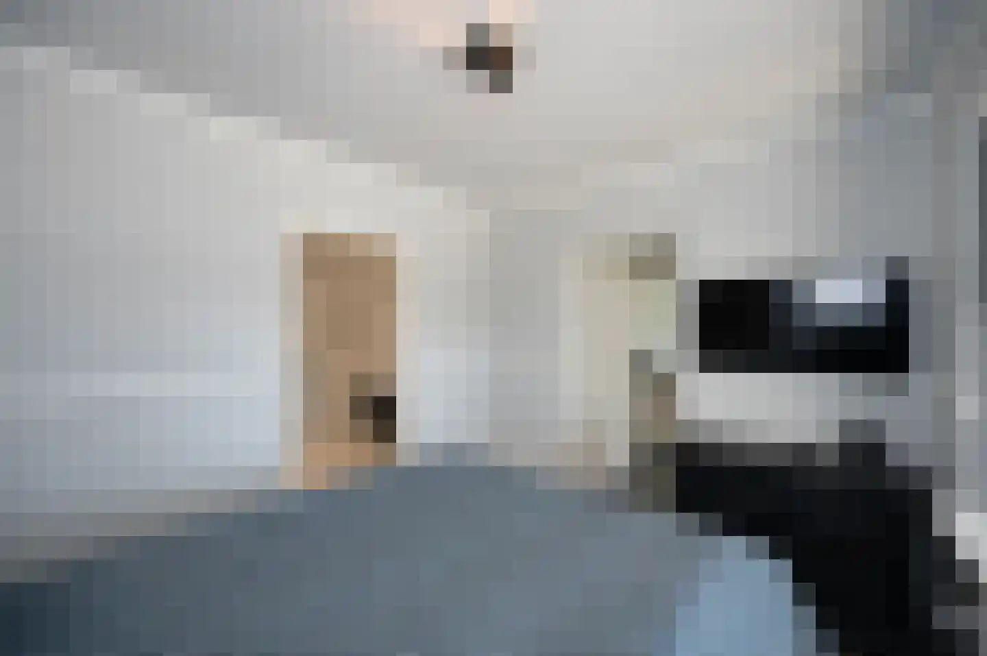 Annie M.G. Schmidtweg 68 Almere thumbnail 9