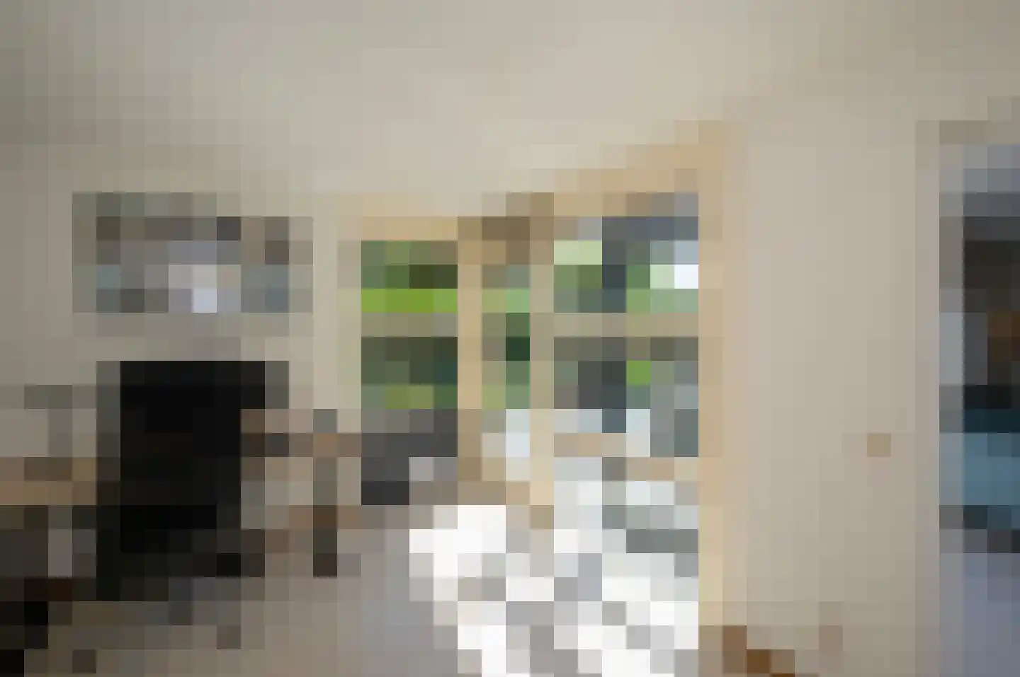 Annie M.G. Schmidtweg 7 Almere thumbnail 21