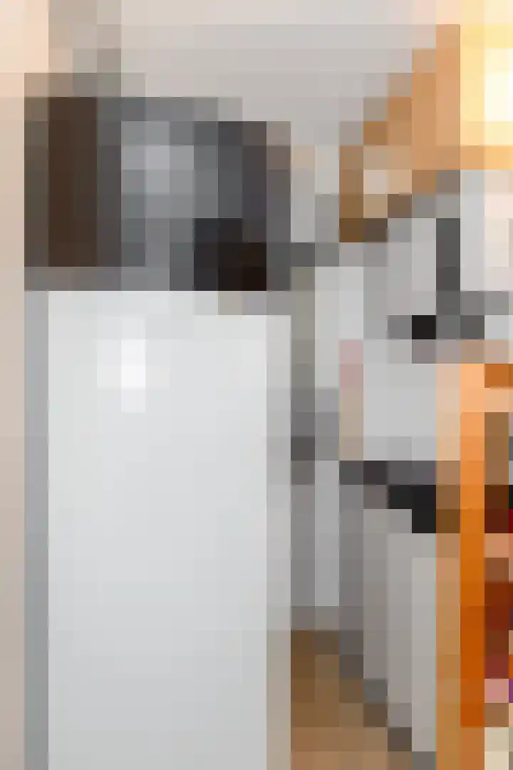 Annie M.G. Schmidtweg 90 Almere thumbnail 37