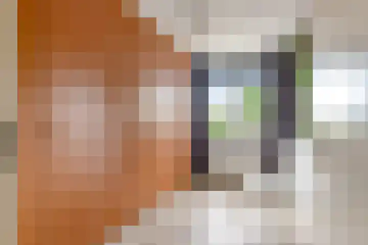 Annie M.G. Schmidtweg 90 Almere thumbnail 41